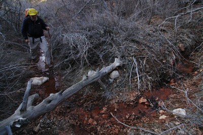 Chris hiking in Saddle Canyon en route to the Muav Saddle