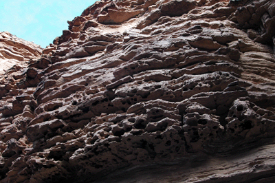 Interesting perforated rock layer in the Tapeats