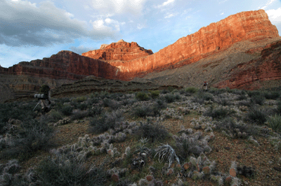 The late afternoon light paints Isis Temple