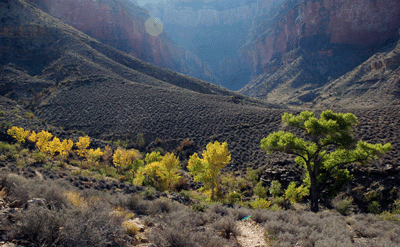 Approaching Burro Spring