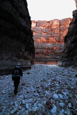 Approaching the junction of Jumpup and Kanab Creek canyons