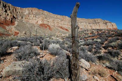 Fence along the Ranger trail