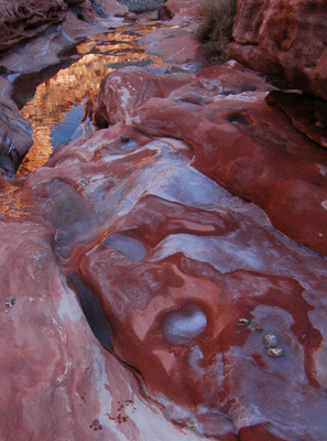 Water pools in the slickrock