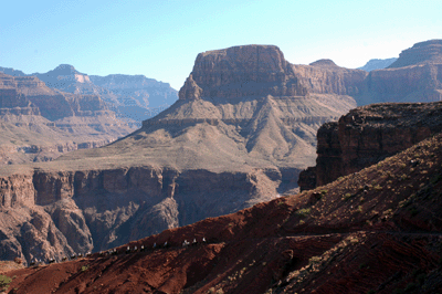 A mule train ascends the South Kaibab, en route to the Tonto platform